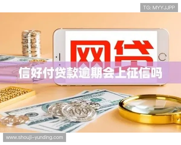 云顶国际平台怎么样：支付方式多样性与资金安全保障措施