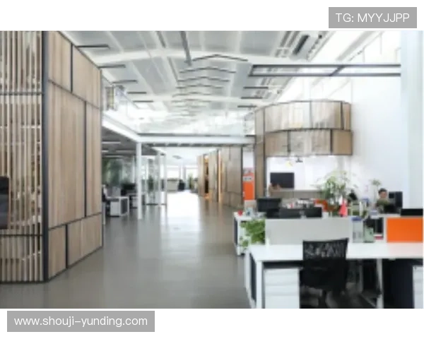 云顶公司怎么取名：结合行业特色与市场定位的命名策略