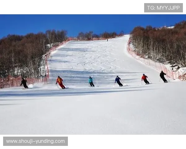 云顶金花阁介绍：如何规划行程以充分体验云顶金花阁的魅力