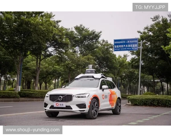 手机云顶登录遇到问题怎么办，提供全面解决方案保障顺畅体验