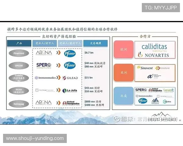云顶新耀官网安全漏洞修复与风险控制策略确保游戏环境稳定安全运行 云顶新耀官网安全漏洞修复与风险控制策略确保游戏环境稳定安全运行